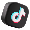 10th-anniv/vn/platform_tiktok