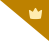 4g/premium-tag
