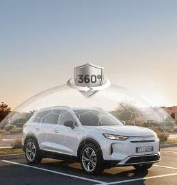 f800/features/parkingSurveillance