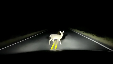 why3ch/swiper_front_content_2