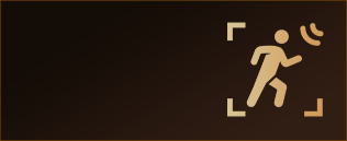 why3ch/t800_feature_AI