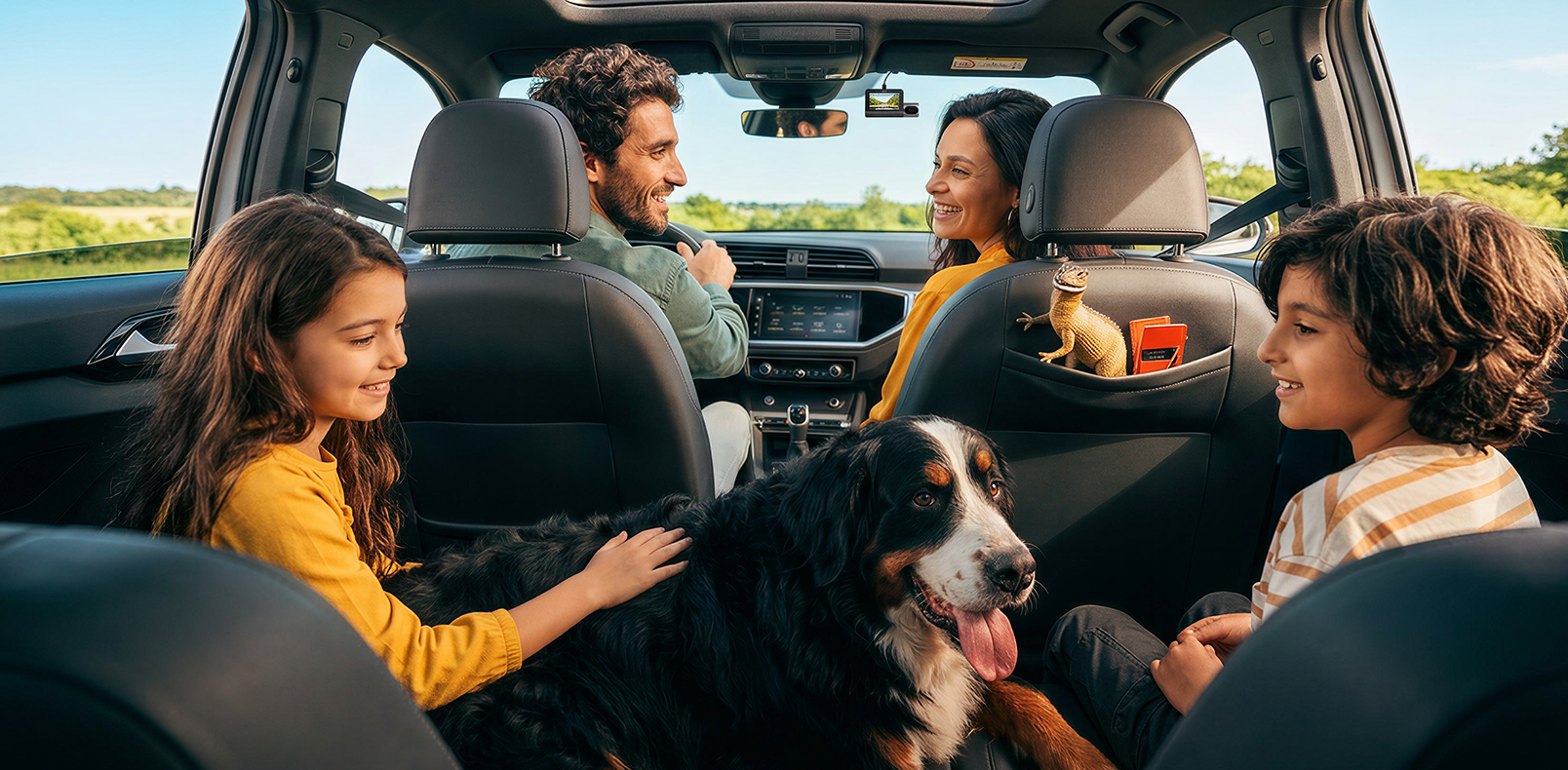 whydashcam/2026-q2-campaign/overview/Family-with-Pets